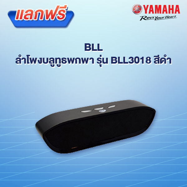 BLL ลำโพงบลูทูธพกพา รุ่น BLL3018 #สีดำ